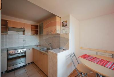 Apartament 3 Camere, Ultracentral, De Inchiriat - 15