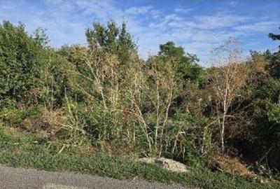 Teren de 353 mp, în Ștefăneștii de Jos - 5