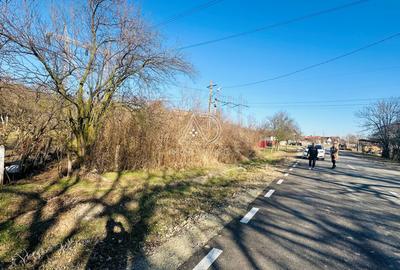 Teren intravilan de 5544 mp, în Moi - 8