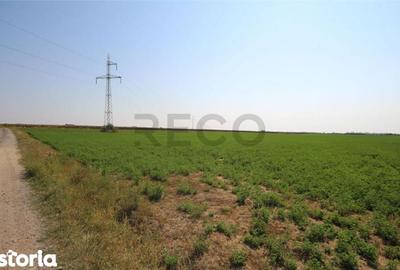 Teren de 3500 mp, în Girișu de Criș - 2