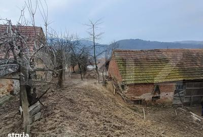 Casă cu 5 camere cu Teren 2482 Mp în Pianu - 8