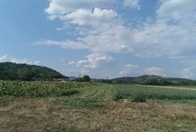 Teren de 2356 mp, în Est - 2