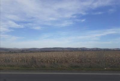 Vanzare teren intravilan, Feldioara, Brasov - 6