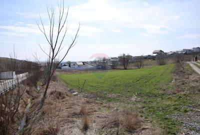 Teren Construcții intravilan de 3500 mp, în Moara - 15