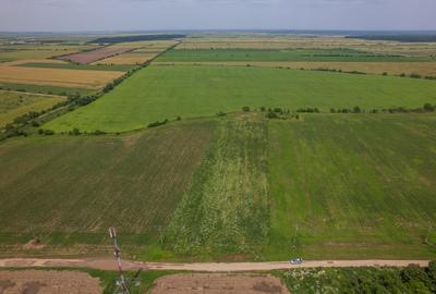 BALOTESTI - SAFTICA, TEREN INTRAVILAN 500 MP, DESCHIDERE 21 M ! - 5
