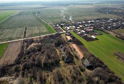 Ferma si livada de meri in judetul Ilfov - 6