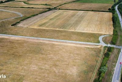 Spațiu comercial, în Albina - 5