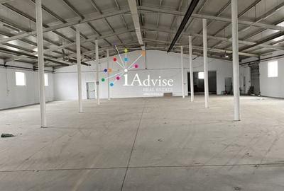 Hala  800 mp - AVIZ ISU - zona CET - 3