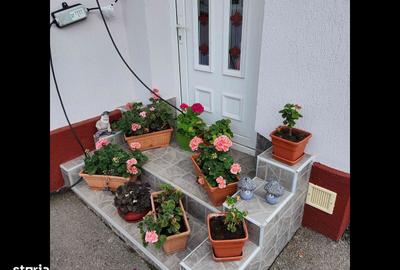 Casă cu 7 camere cu Teren 563 Mp în Exterior Vest - 10