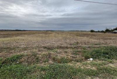 Teren agricol intravilan de 46495 mp, în Industrială - 10