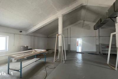 Spațiu comercial, de 700 mp, în Aradul Nou - 18