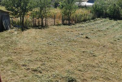 Casă cu 2 camere în Dumești - 2