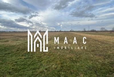 Teren Intravilan I Cârțișoara I 1200 MP - 2