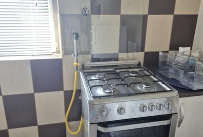 Apartament cu 3 camere semidecomandat în Vidra - 9
