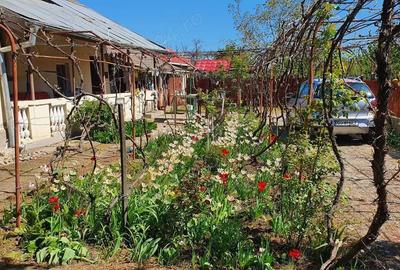 Vand casa in localitatea Giubega Vand casa in localitatea Giubega - 8