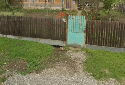 Casă cu 6 camere cu Teren 3555 Mp în Ileana - 5