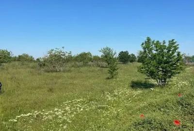 Teren de 500 mp, în Sărulești - 3