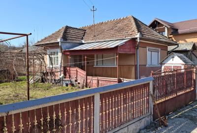 Casă cu 2 camere în Inău - 2