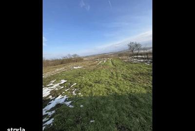 Casă cu 3 camere cu Teren 3400 Mp în Sâncel - 4