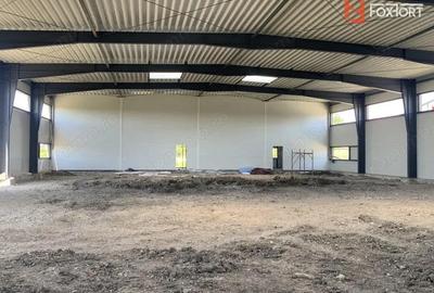 Hala de inchiriat cu platforma betonata de 1334 mp, zona Sanandrei - 4