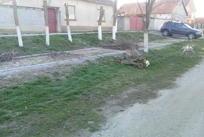 Casă cu 4 camere în Șimand - 7