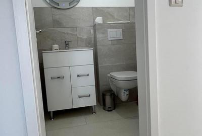 Apartament 3 camere – Dumbrăvița (zona IKEA). Preț: 600€/lună. Pet friendly. - 14