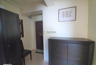 Garsonieră, mobilată în Turnișor - 2