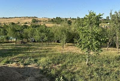 Casă cu 3 camere cu Teren 2800 Mp în Central - 2