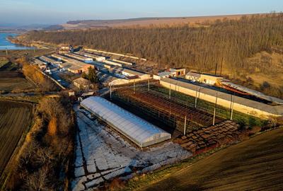 Spațiu comercial, de 50,000 mp, în Central - 9