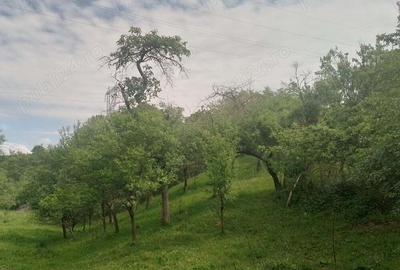 Casă cu 5 camere în Șerel - 11