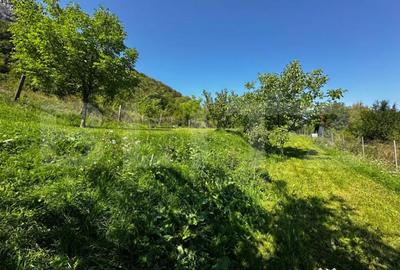 Teren de 1800 mp, în Vălișoara - 3