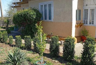 Casă cu 4 camere cu Teren 3210 Mp în Constantinești - 4