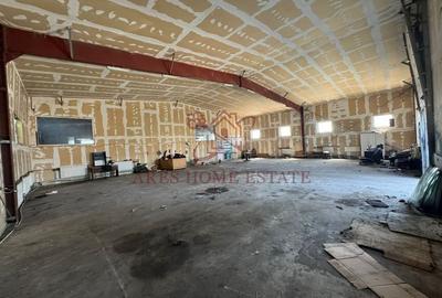 Spațiu industrial/depozit 228 mp – Moșnița Nouă. Fostele hale Avicola. - 4