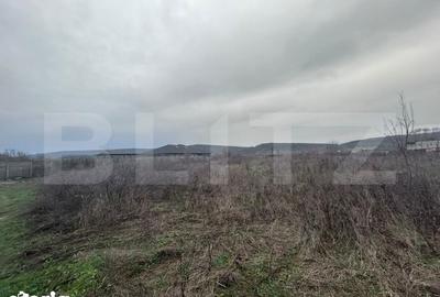 Teren de 10000 mp, în Central - 1