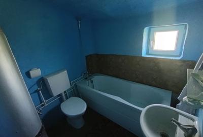 Casă cu 2 camere în Independența - 3