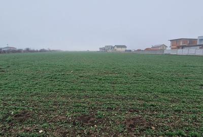 Ovidiu- Poiana, teren intravilan ideal pentru constructie case - 7