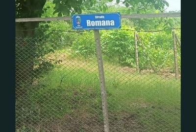 Spațiu comercial, în Valea Călugărească - 8