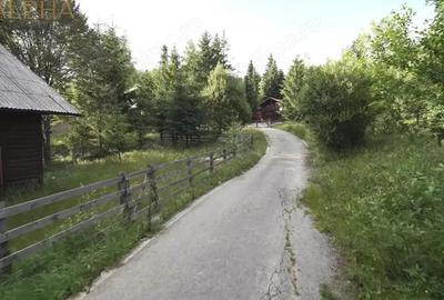 Teren de 16945 mp, în Colibița - 6