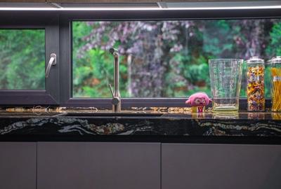 Casă individuală cu 5 camere cu Piscina în Iancu Nicolae - 22