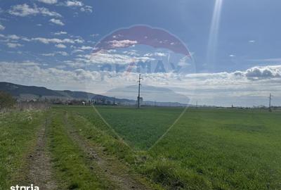 Teren de 8600 mp, în Iclod - 13