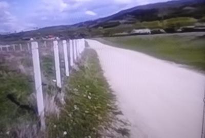 Teren agricol extravilan de 3900 mp, în Sud - 3
