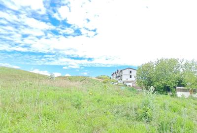 TEREN INTRAVILAN PE MALUL MARII 1.500 MP. IDEAL CONSTRUCTII TURISTICE RESTAURANT - 9