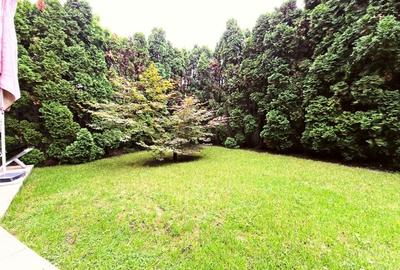 Vila 6 camere, mobilata, utilata, Andrei Muresanu, zona Engels - 36