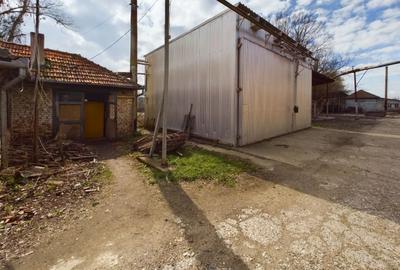 Fabrica prelucrare lemn de vanzare – Lipova, Arad - 10