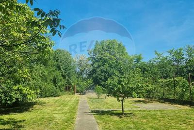 Casă individuală cu 5 camere cu Teren 2436 Mp în Alexandriei - 10