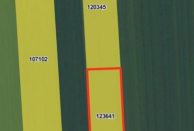 Spațiu comercial, în Tohanu Nou - 5