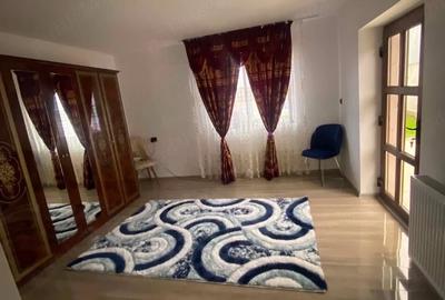 Casă cu Teren 4000 Mp în Brăilița
