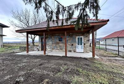 Vanzare casa individuala D+P+M + casuta de vara + teren 2000 mp, loc. Livada - 6