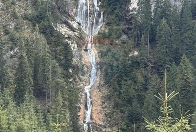 Teren de 2770 mp, în Est - 1