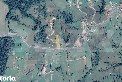 Teren de 2000 mp, în Șieu - 3
